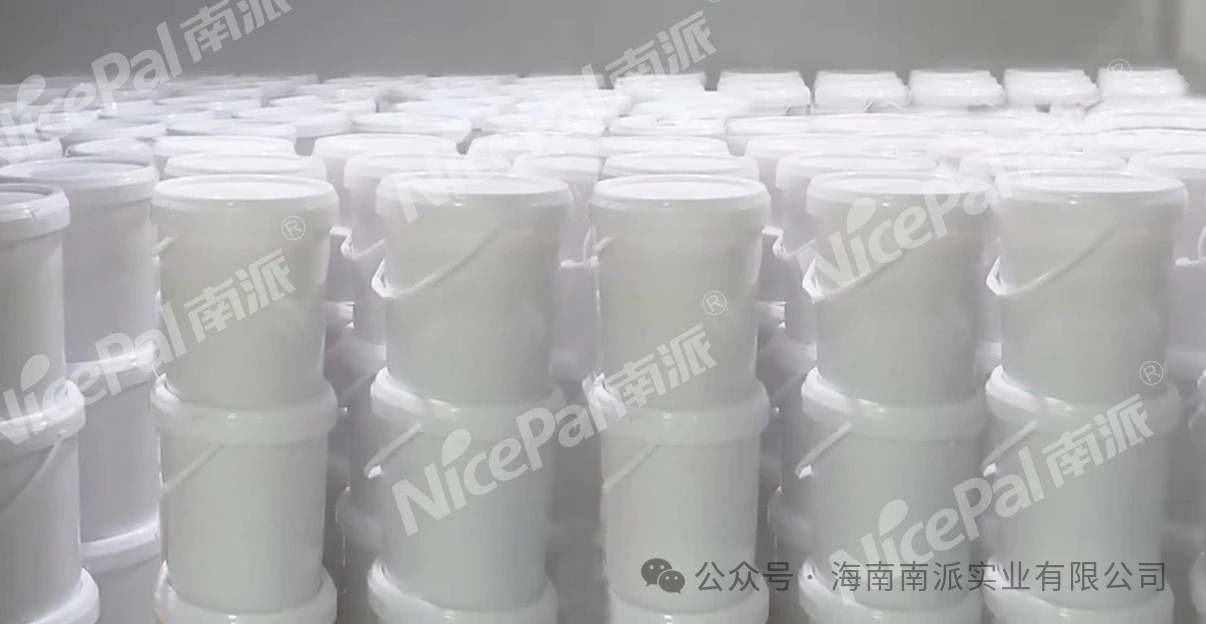 微信图片_2025-12-11_171524_366_看图王 微信图片_2025-12-11_171524_366_看图王