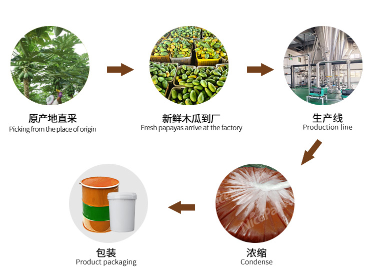 浓缩木瓜汁_05