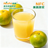 NFC速冻柑橘原浆