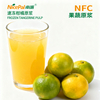 NFC速冻柑橘原浆