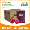 NFC速冻火龙果原浆