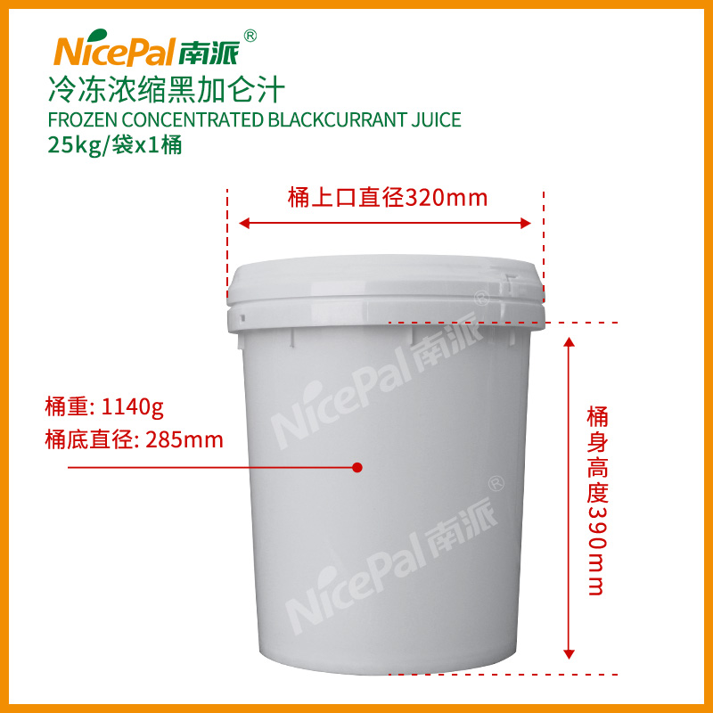 浓缩黑加仑汁-25kg (3)