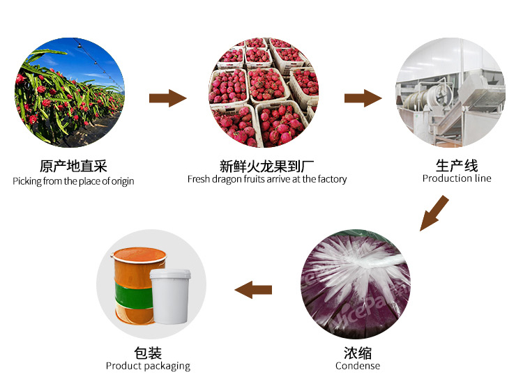 浓缩火龙果汁_05