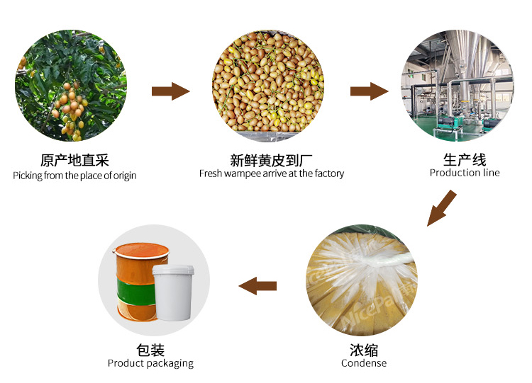 浓缩黄皮汁_05