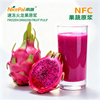 NFC速冻火龙果原浆