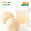NFC速冻白桃原浆