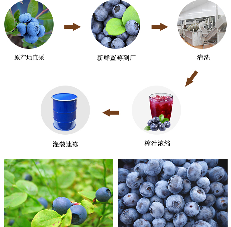 冷冻浓缩蓝莓汁详情页_05