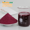 红甜菜根原粉 Beetroot Powder