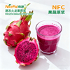 NFC速冻火龙果原浆