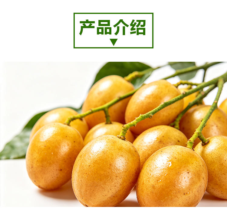 15Kg黄皮原粉情页_02