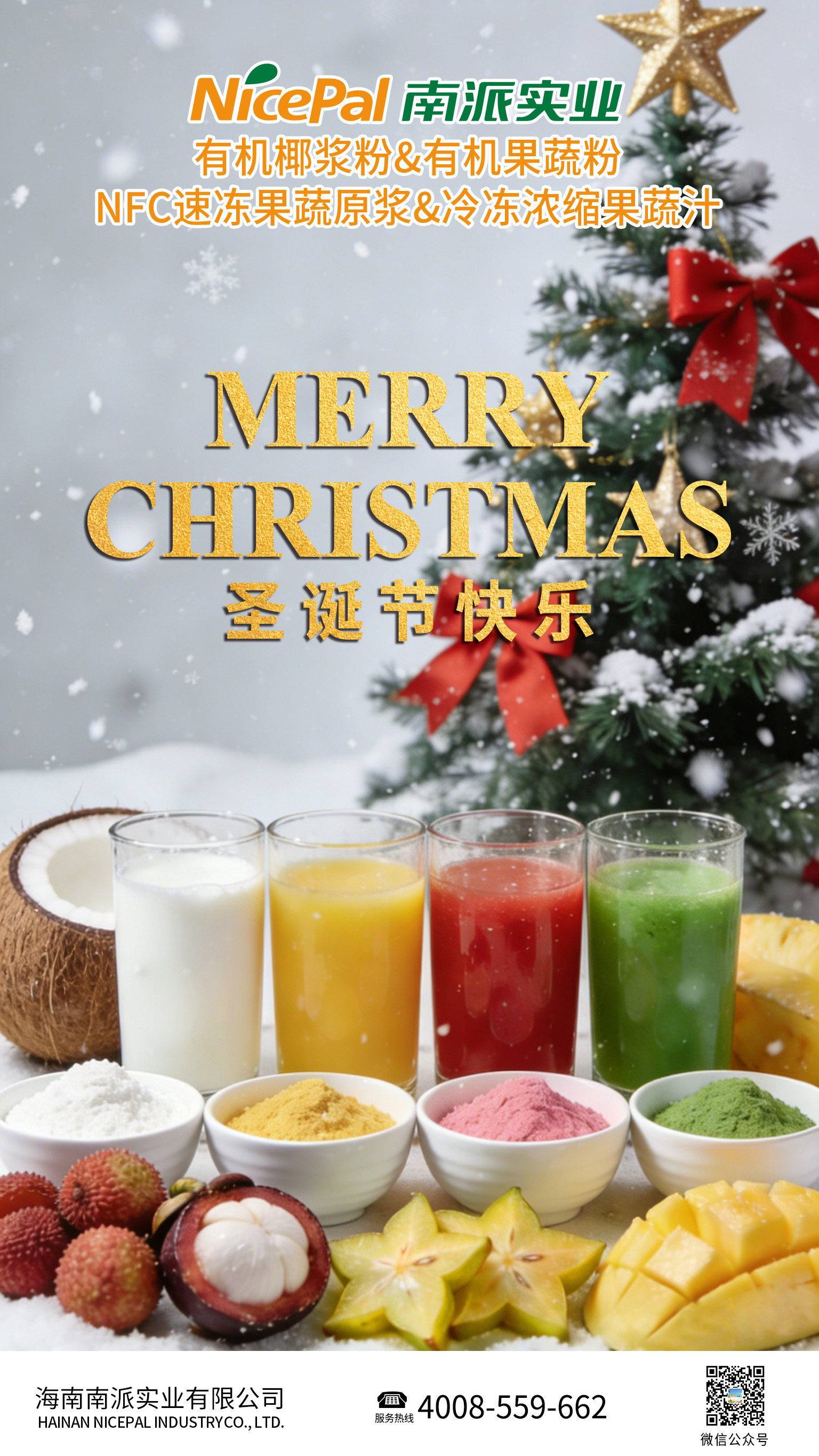 圣诞节 Merry Christmas