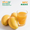 NFC速冻芒果原浆