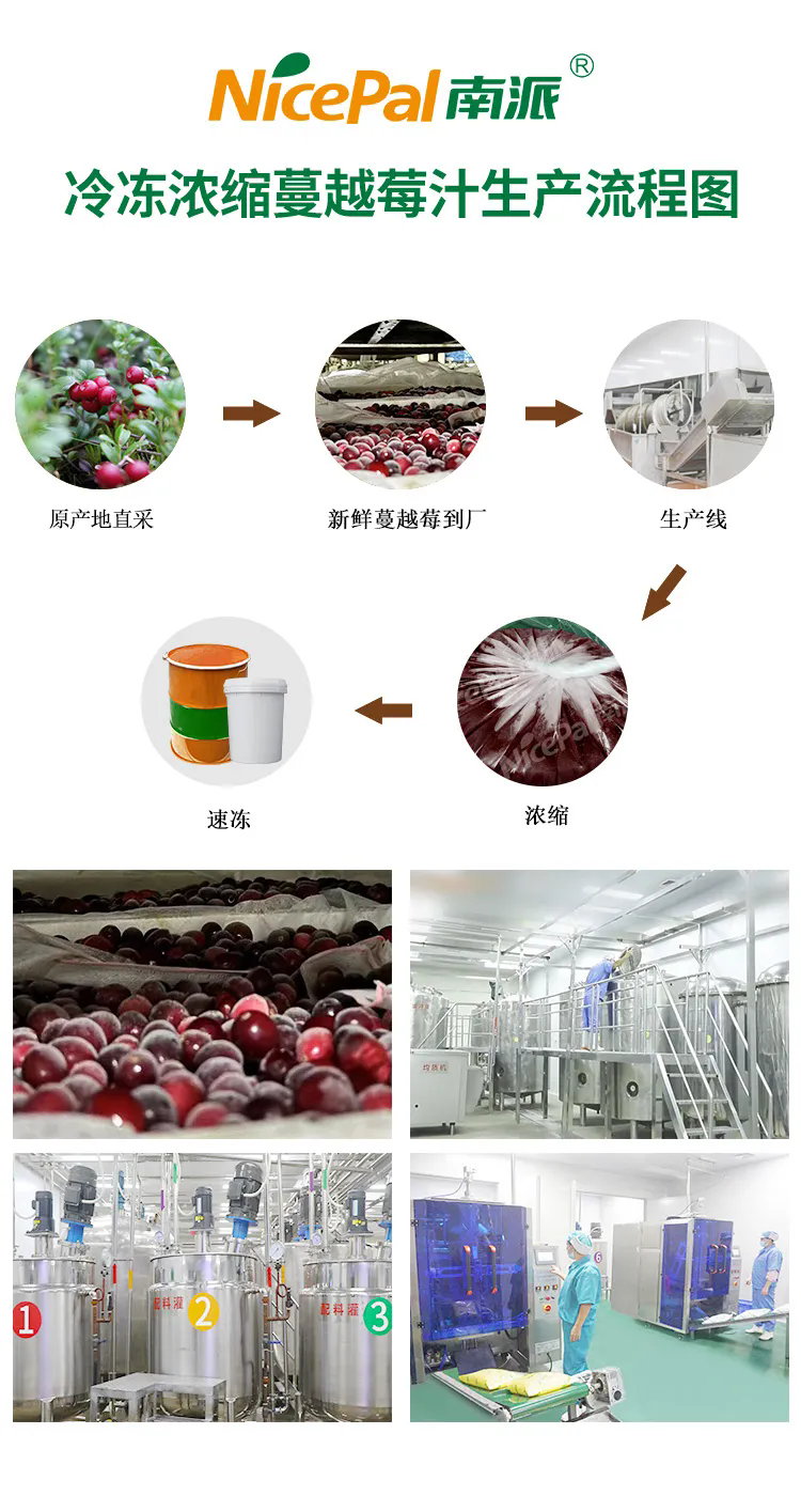 浓缩蔓越莓.webp